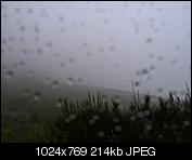 Kliknij obrazek, aby uzyskać większą wersję

Nazwa:	P1060796m.jpg
Wyświetleń:	112
Rozmiar:	213,9 KB
ID:	158216