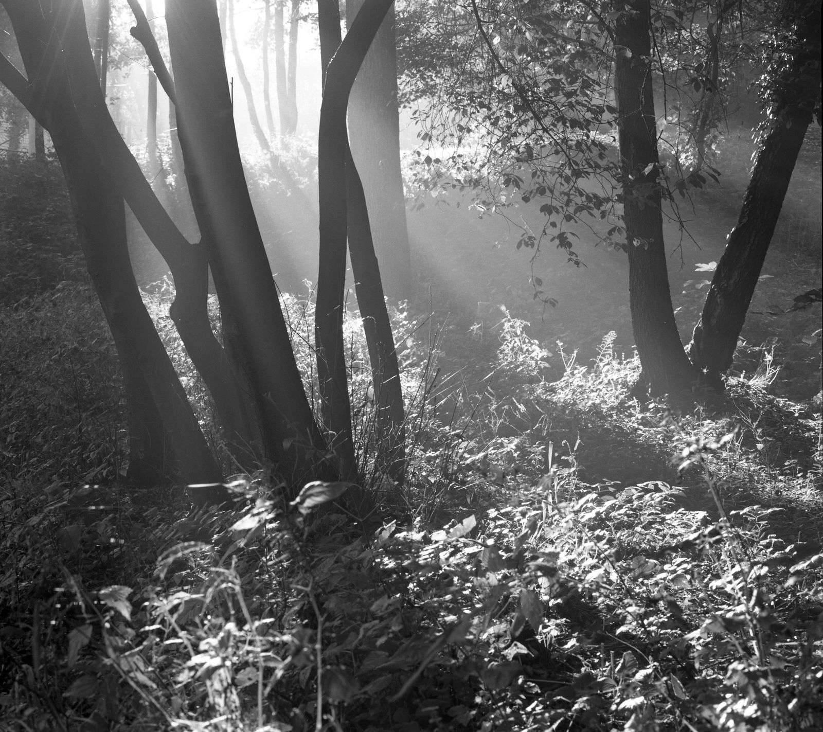 Kliknij obrazek, aby uzyskać większą wersję

Nazwa:	test.jpg
Wyświetleń:	136
Rozmiar:	437,7 KB
ID:	158425