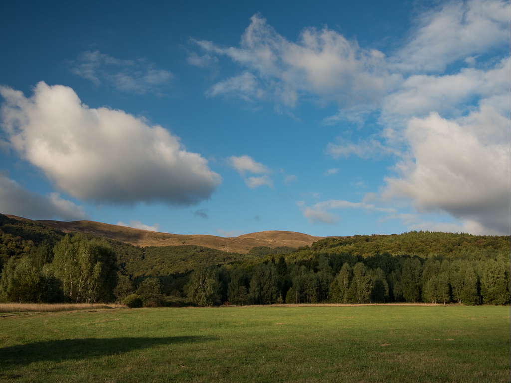 Kliknij obrazek, aby uzyskać większą wersję

Nazwa:	P9300220.jpg
Wyświetleń:	291
Rozmiar:	330,0 KB
ID:	159370