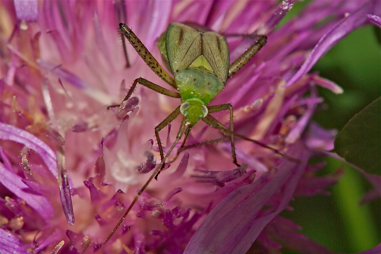 Kliknij obrazek, aby uzyskać większą wersję

Nazwa:	p8150025bp.jpg
Wyświetleń:	287
Rozmiar:	415,5 KB
ID:	159372