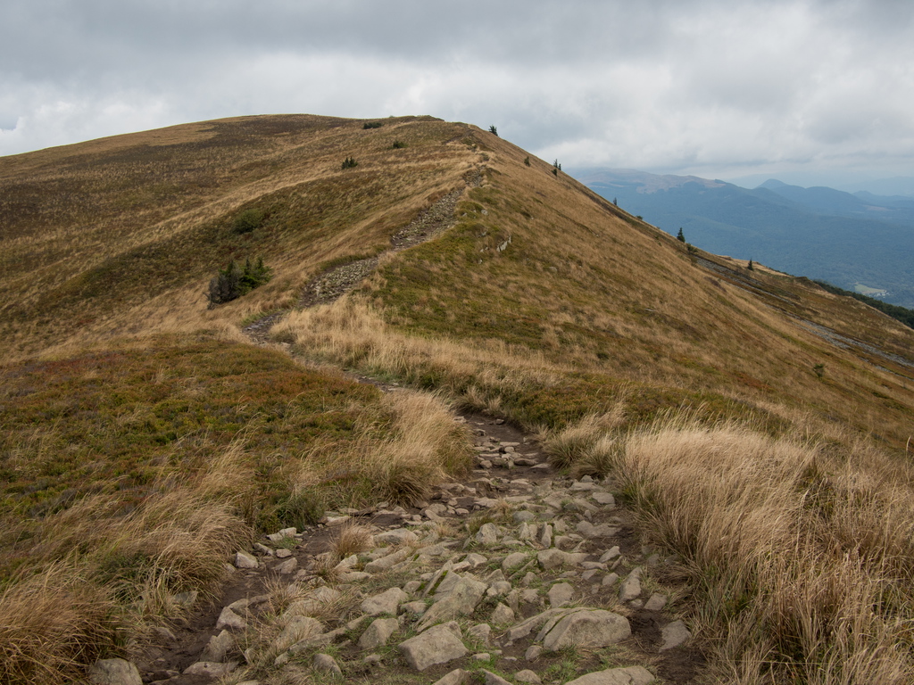 Kliknij obrazek, aby uzyskać większą wersję

Nazwa:	P9280159.jpg
Wyświetleń:	296
Rozmiar:	490,9 KB
ID:	159377