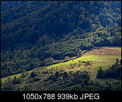 Kliknij obrazek, aby uzyskać większą wersję

Nazwa:	_9303393.jpg
Wyświetleń:	44
Rozmiar:	939,3 KB
ID:	159408