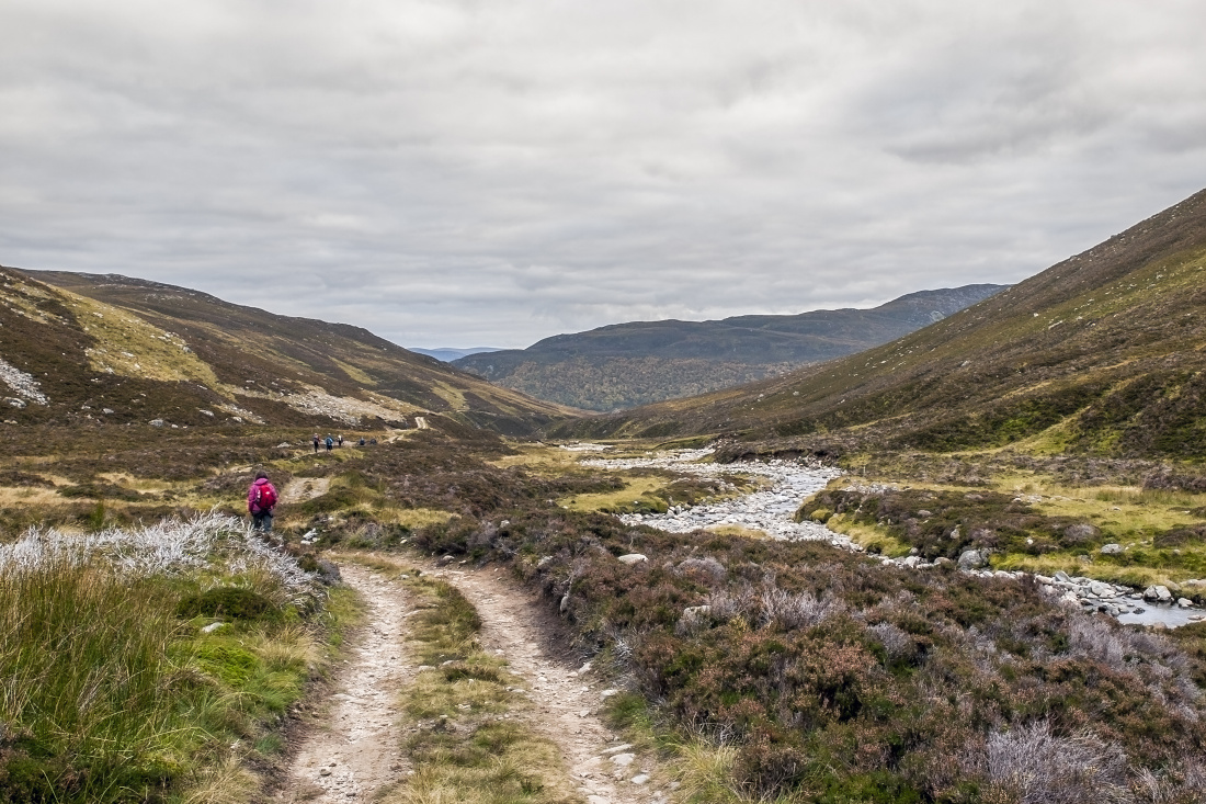 Kliknij obrazek, aby uzyskać większą wersję

Nazwa:	P1016572a.jpg
Wyświetleń:	169
Rozmiar:	456,3 KB
ID:	159454