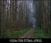 Kliknij obrazek, aby uzyskać większą wersję

Nazwa:	P1070381m.jpg
Wyświetleń:	63
Rozmiar:	575,1 KB
ID:	159558