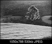 Kliknij obrazek, aby uzyskać większą wersję

Nazwa:	_9303430_.jpg
Wyświetleń:	40
Rozmiar:	529,7 KB
ID:	159599