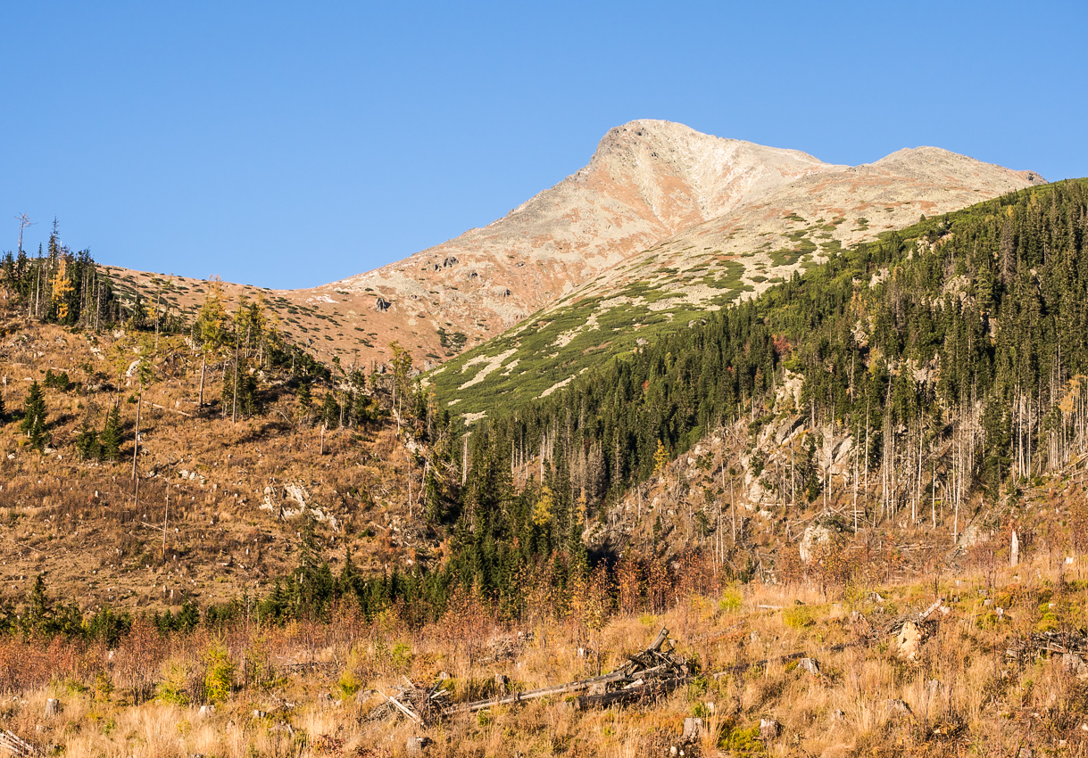 Kliknij obrazek, aby uzyskać większą wersję

Nazwa:	Krywan1olek-7.JPG
Wyświetleń:	1034
Rozmiar:	1.012,0 KB
ID:	159647