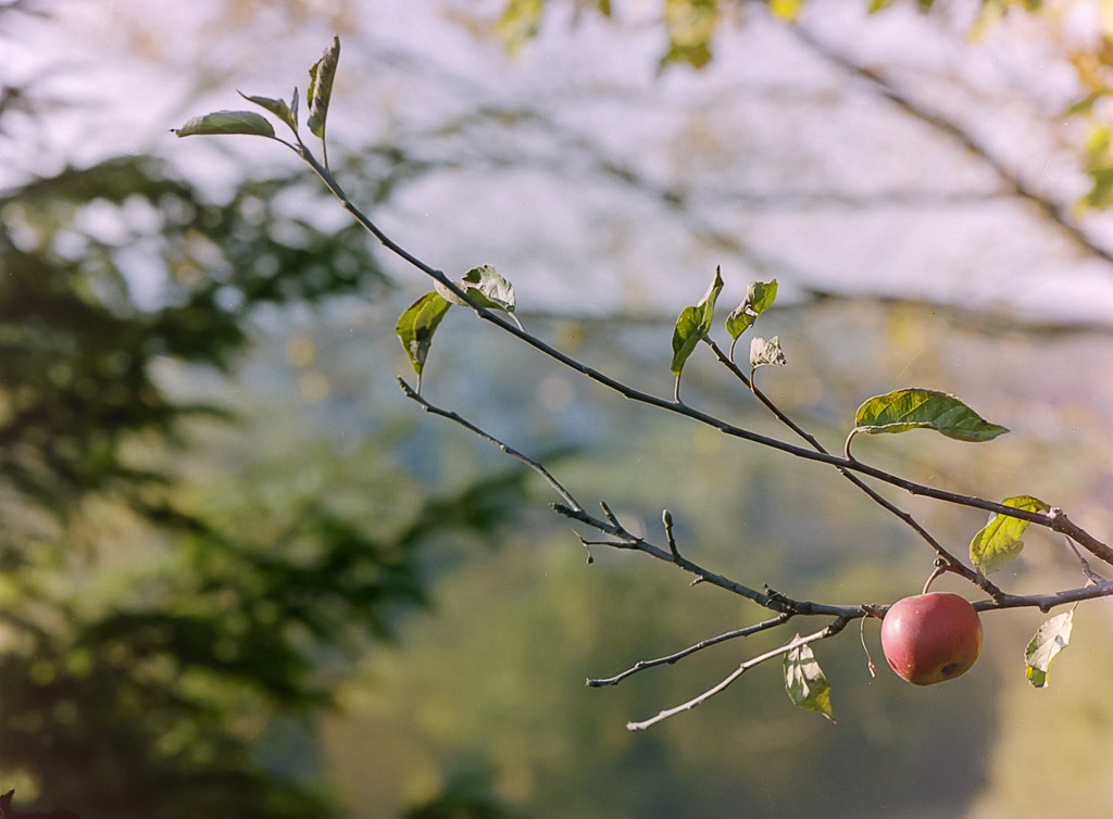 Kliknij obrazek, aby uzyskać większą wersję

Nazwa:	PA255836 (Kopiowanie).jpg
Wyświetleń:	211
Rozmiar:	141,6 KB
ID:	159716
