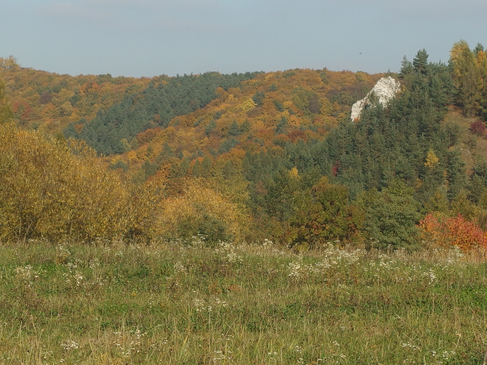 Kliknij obrazek, aby uzyskać większą wersję

Nazwa:	PA243402.JPG
Wyświetleń:	26394
Rozmiar:	870,4 KB
ID:	159829