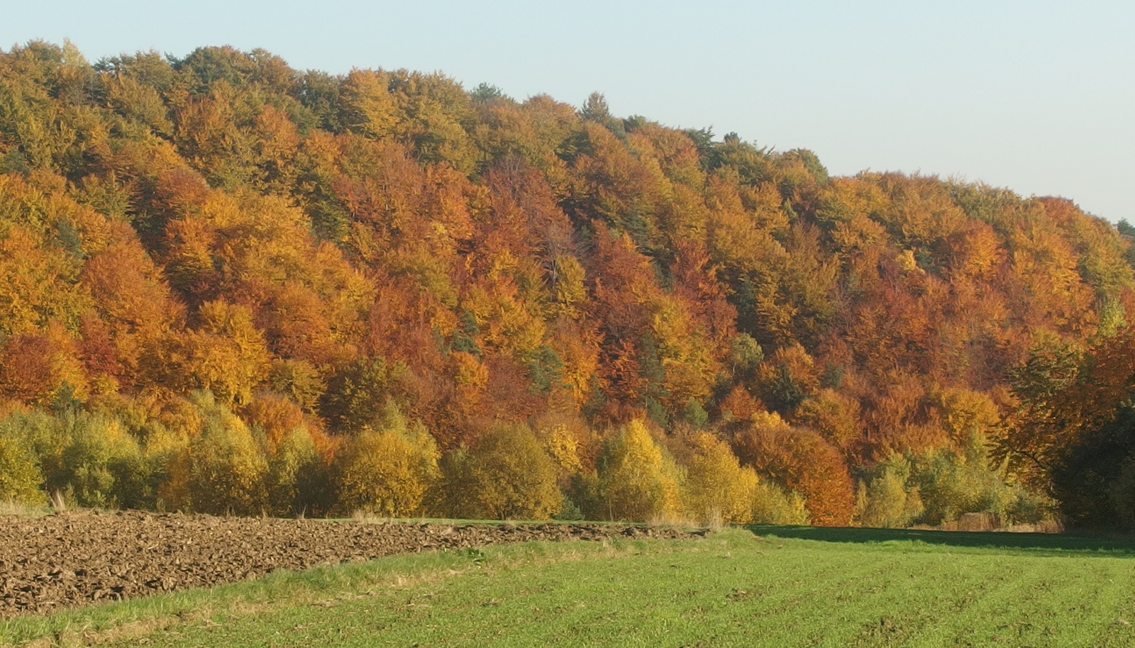 Kliknij obrazek, aby uzyskać większą wersję

Nazwa:	PA243442.JPG
Wyświetleń:	26828
Rozmiar:	656,7 KB
ID:	159974