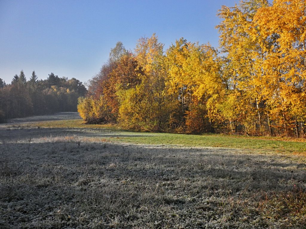 Kliknij obrazek, aby uzyskać większą wersję

Nazwa:	6_0.jpg
Wyświetleń:	154
Rozmiar:	239,8 KB
ID:	160062