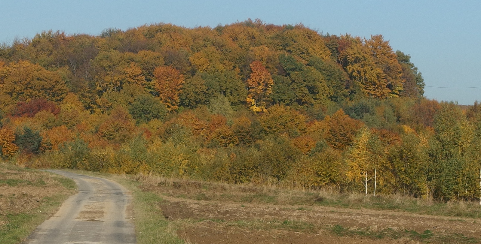 Kliknij obrazek, aby uzyskać większą wersję

Nazwa:	PA243443.JPG
Wyświetleń:	26574
Rozmiar:	568,8 KB
ID:	160077