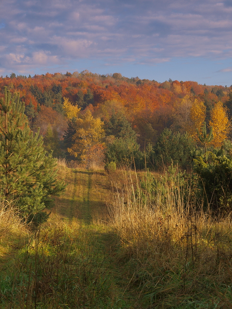 Kliknij obrazek, aby uzyskać większą wersję

Nazwa:	29102015_KK293578.1.jpg
Wyświetleń:	122
Rozmiar:	600,9 KB
ID:	160157