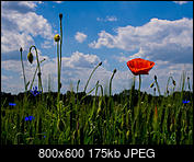 Kliknij obrazek, aby uzyskać większą wersję

Nazwa:	P6032648a.jpg
Wyświetleń:	54
Rozmiar:	175,0 KB
ID:	160236
