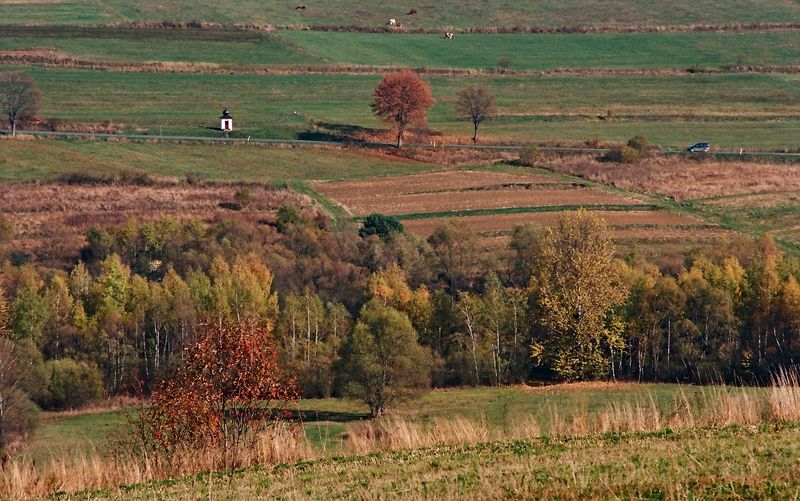 Kliknij obrazek, aby uzyskać większą wersję

Nazwa:	pola_jes.jpg
Wyświetleń:	144
Rozmiar:	119,1 KB
ID:	160254