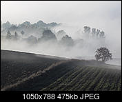 Kliknij obrazek, aby uzyskać większą wersję

Nazwa:	_A273702.jpg
Wyświetleń:	90
Rozmiar:	474,8 KB
ID:	160300