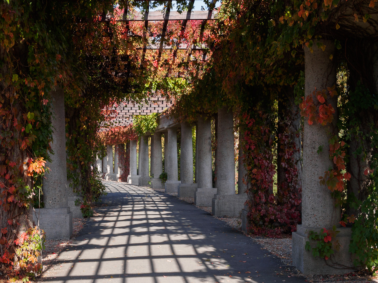 Kliknij obrazek, aby uzyskać większą wersję

Nazwa:	20151003-PA031971.jpg
Wyświetleń:	249
Rozmiar:	717,0 KB
ID:	160336