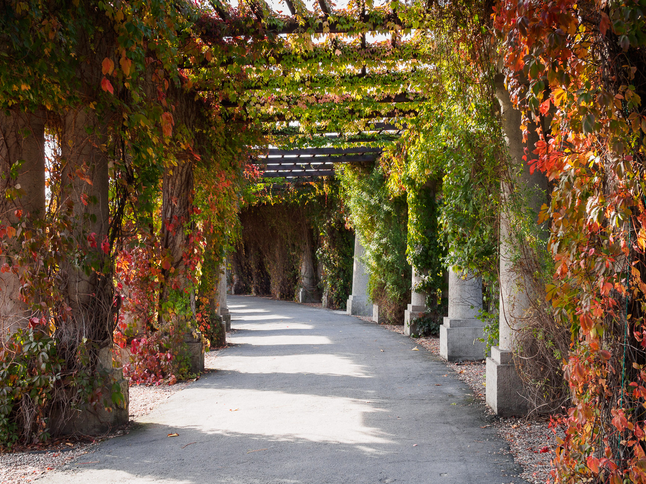 Kliknij obrazek, aby uzyskać większą wersję

Nazwa:	20151003-PA032019.jpg
Wyświetleń:	242
Rozmiar:	972,9 KB
ID:	160338