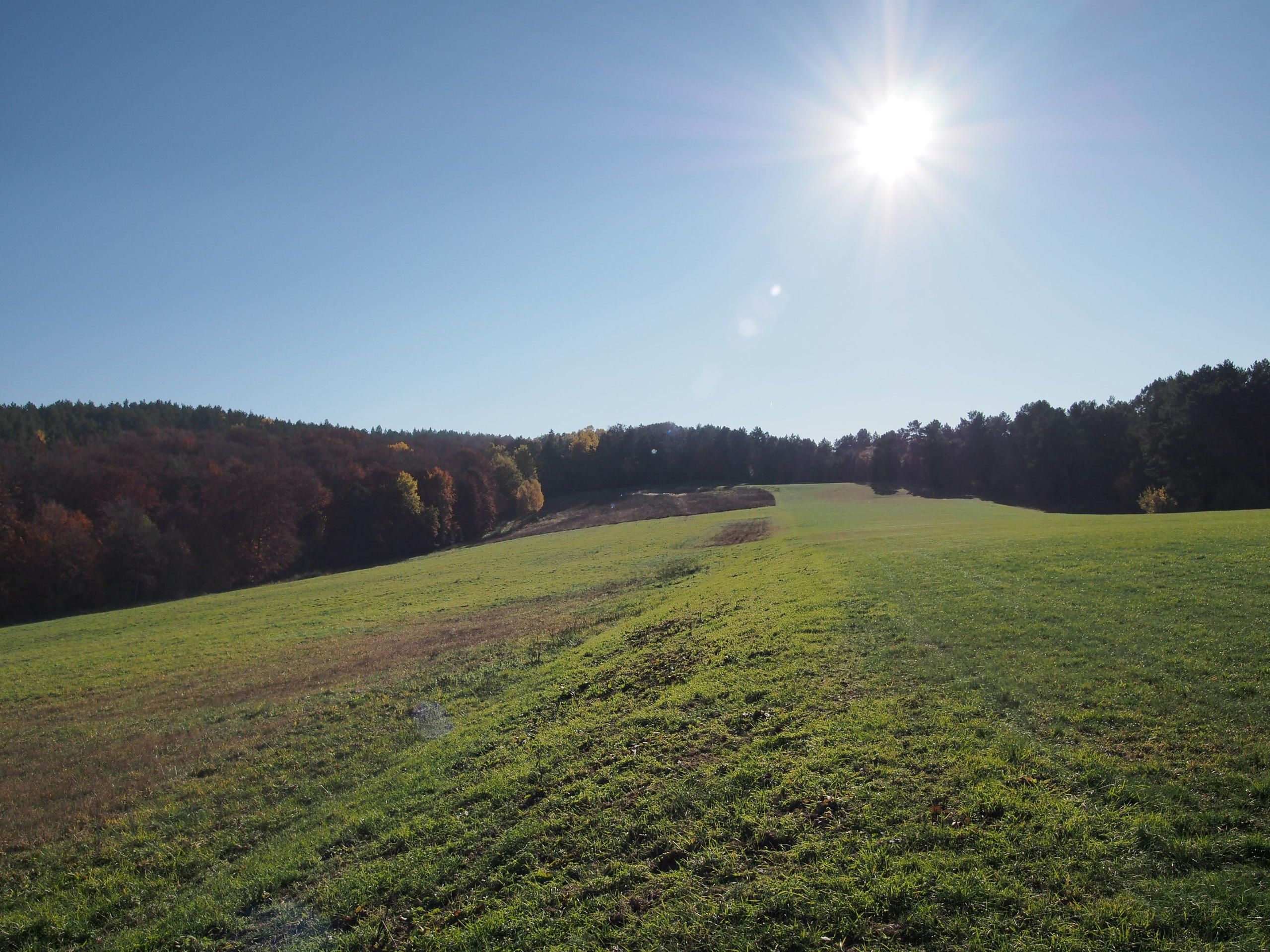 Nazwa:  PA313206.jpg
Wyświetleń: 410
Rozmiar:  703,3 KB