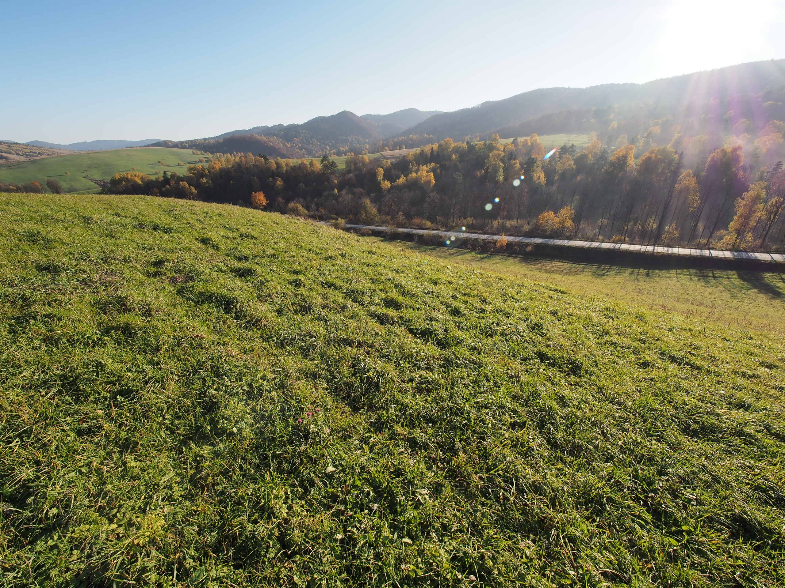 Nazwa:  PA313231.JPG
Wyświetleń: 413
Rozmiar:  939,7 KB