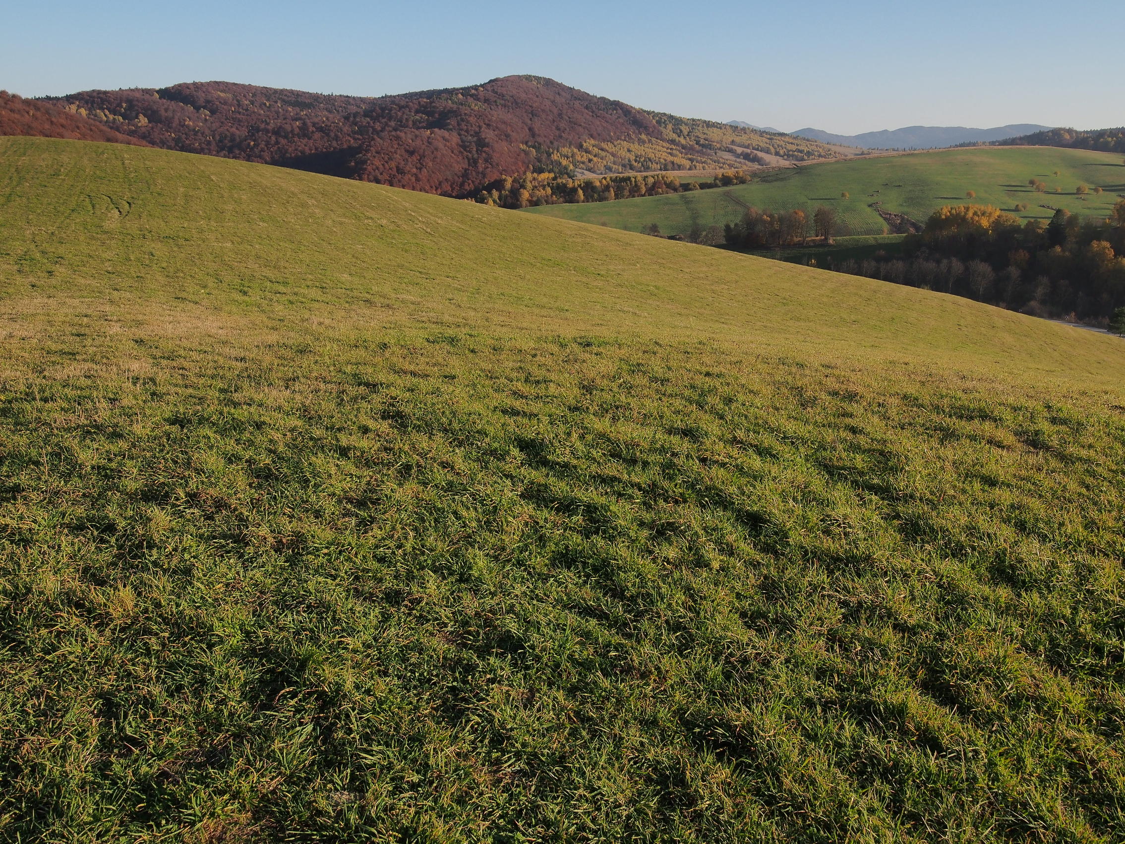 Nazwa:  PA313264.jpg
Wyświetleń: 417
Rozmiar:  1,22 MB