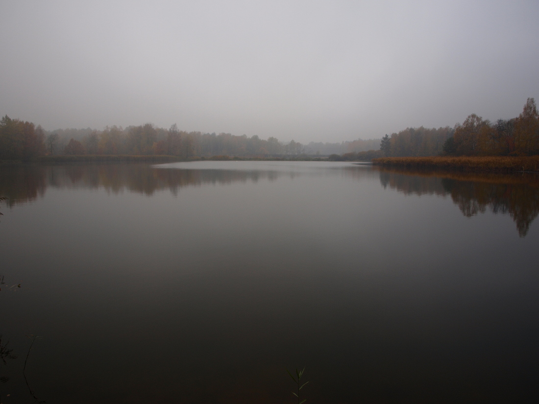 Kliknij obrazek, aby uzyskać większą wersję

Nazwa:	PA319101.jpg
Wyświetleń:	107
Rozmiar:	241,8 KB
ID:	160407