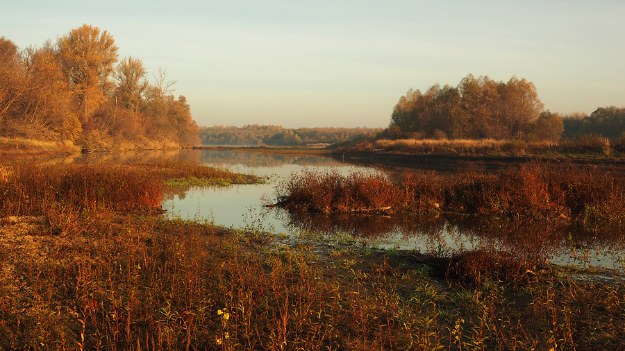Nazwa:  O15-11-01-044-we.jpg
Wyświetleń: 158
Rozmiar:  292,1 KB
