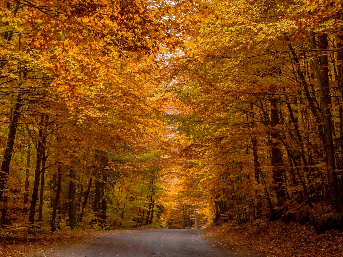 Kliknij obrazek, aby uzyskać większą wersję

Nazwa:	JK250944.jpg
Wyświetleń:	117
Rozmiar:	856,9 KB
ID:	160455