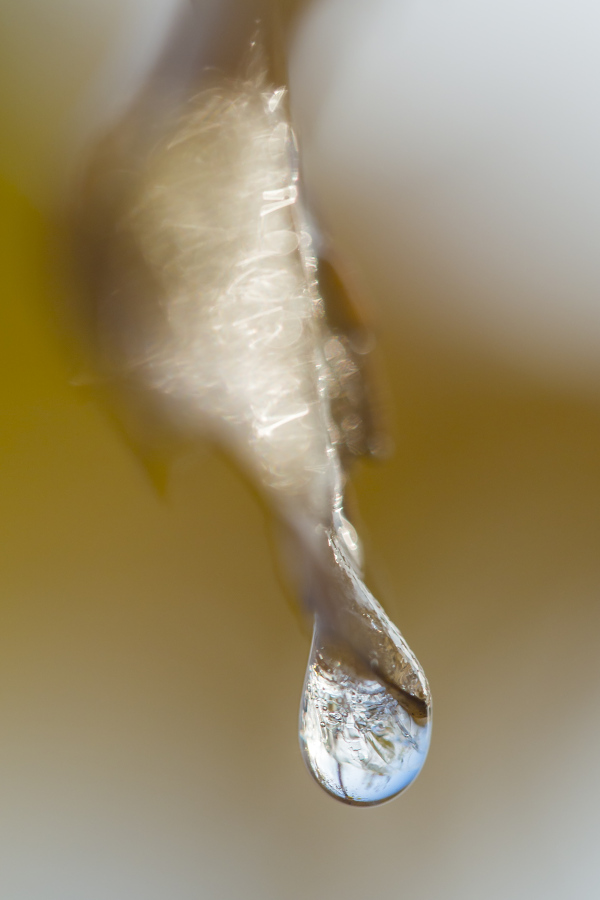 Kliknij obrazek, aby uzyskać większą wersję

Nazwa:	Y0004106.jpg
Wyświetleń:	157
Rozmiar:	157,4 KB
ID:	160528