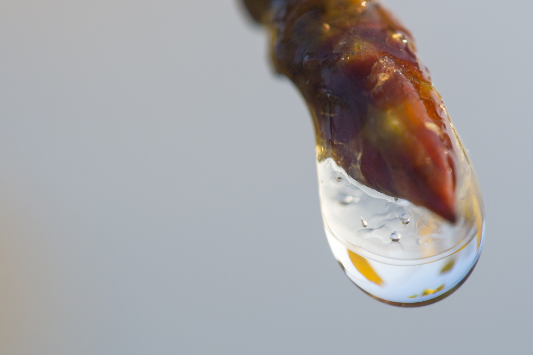 Kliknij obrazek, aby uzyskać większą wersję

Nazwa:	Y0004119.jpg
Wyświetleń:	147
Rozmiar:	226,7 KB
ID:	160530