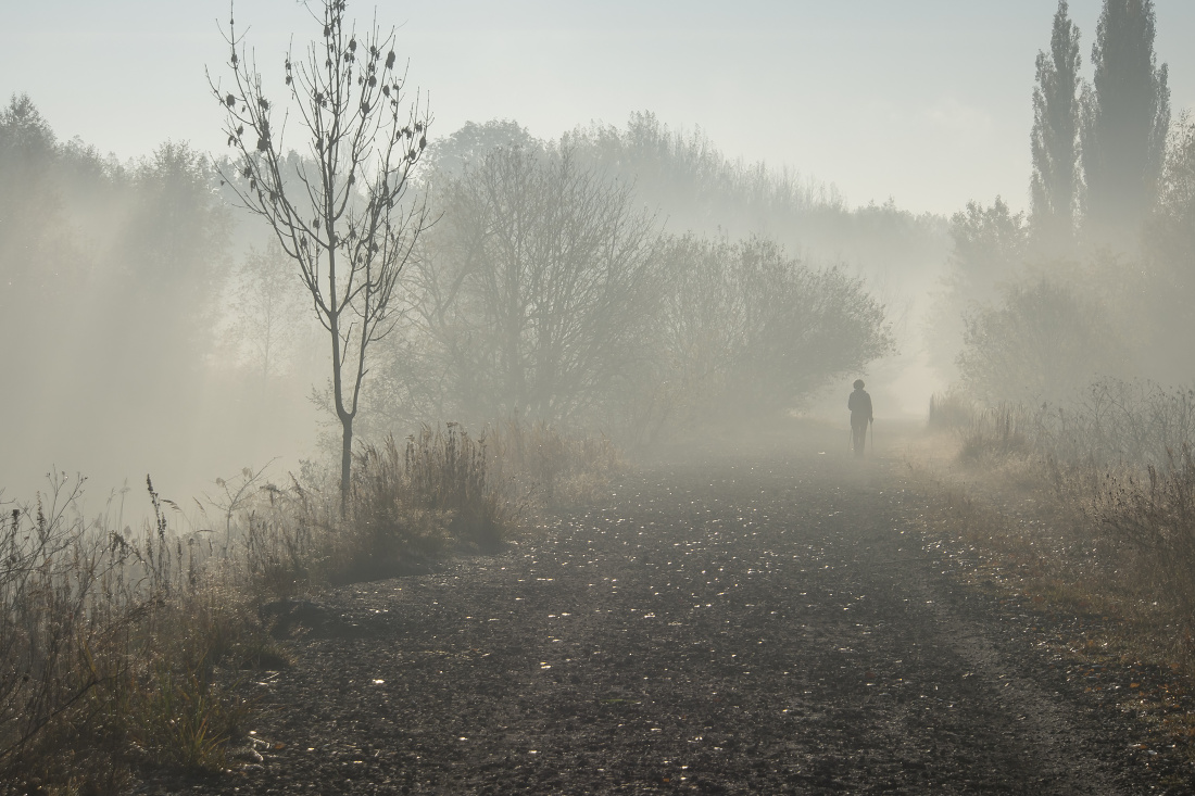 Kliknij obrazek, aby uzyskać większą wersję

Nazwa:	Y0004165.jpg
Wyświetleń:	167
Rozmiar:	340,2 KB
ID:	160535