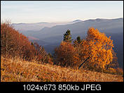 Kliknij obrazek, aby uzyskać większą wersję

Nazwa:	PB030602a1024.jpg
Wyświetleń:	472
Rozmiar:	850,4 KB
ID:	160848