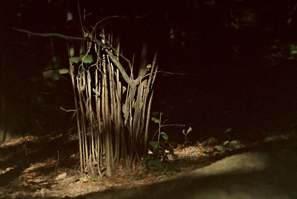 Kliknij obrazek, aby uzyskać większą wersję

Nazwa:	130813 (Kopiowanie).jpg
Wyświetleń:	292
Rozmiar:	370,9 KB
ID:	160920