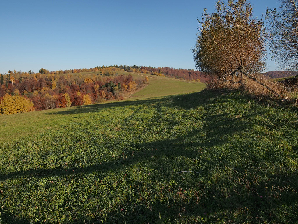 Nazwa:  PA313252min.jpg
Wyświetleń: 276
Rozmiar:  412,7 KB