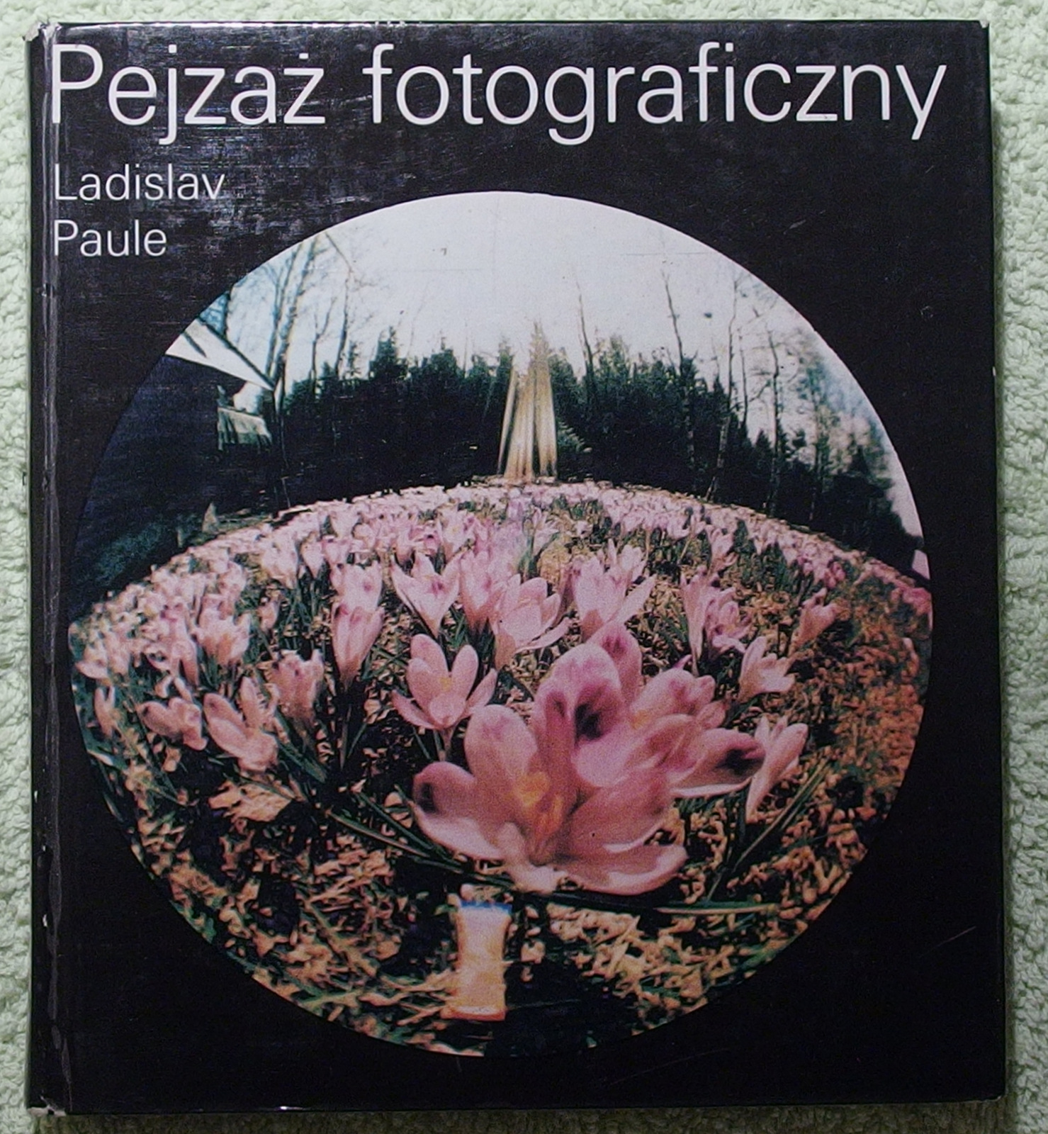 Kliknij obrazek, aby uzyskać większą wersję

Nazwa:	PB063603.JPG
Wyświetleń:	163
Rozmiar:	784,8 KB
ID:	161029