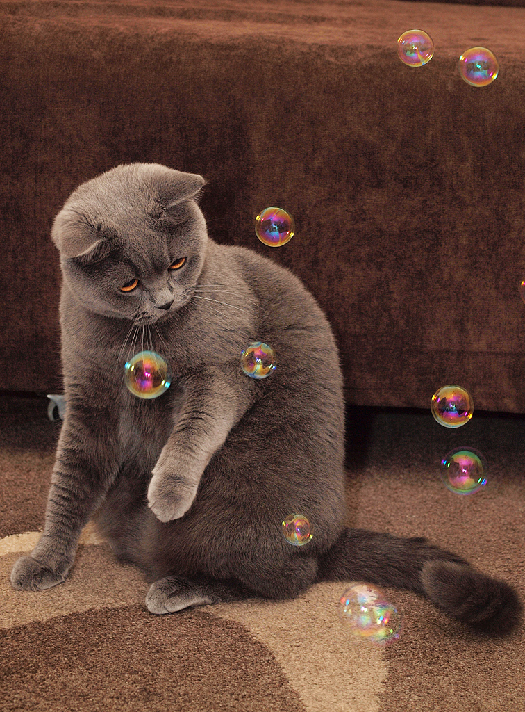 Kliknij obrazek, aby uzyskać większą wersję

Nazwa:	oskar3.jpg
Wyświetleń:	140
Rozmiar:	667,3 KB
ID:	161248