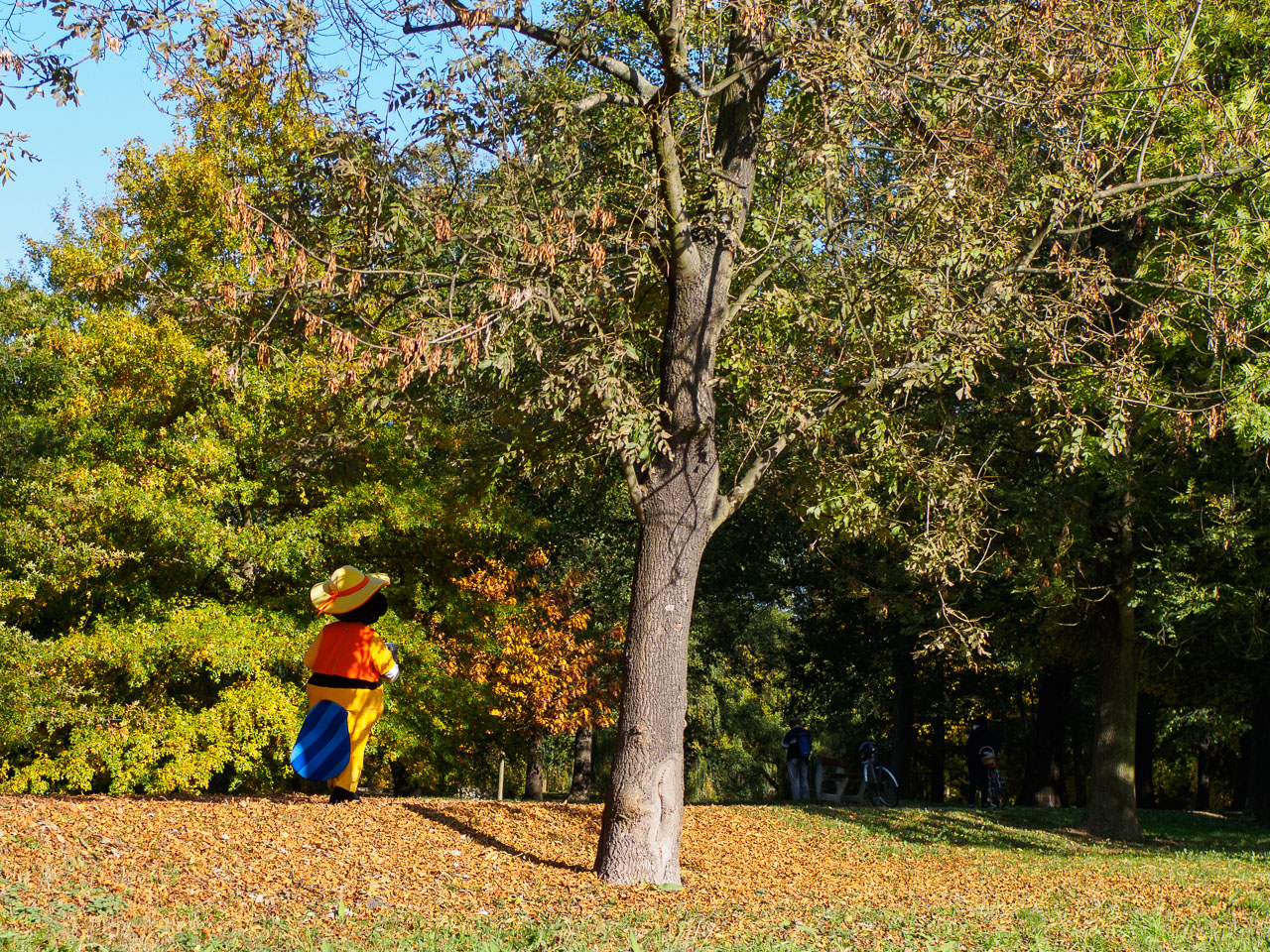 Kliknij obrazek, aby uzyskać większą wersję

Nazwa:	20151024-PA240009.jpg
Wyświetleń:	286
Rozmiar:	811,7 KB
ID:	161310