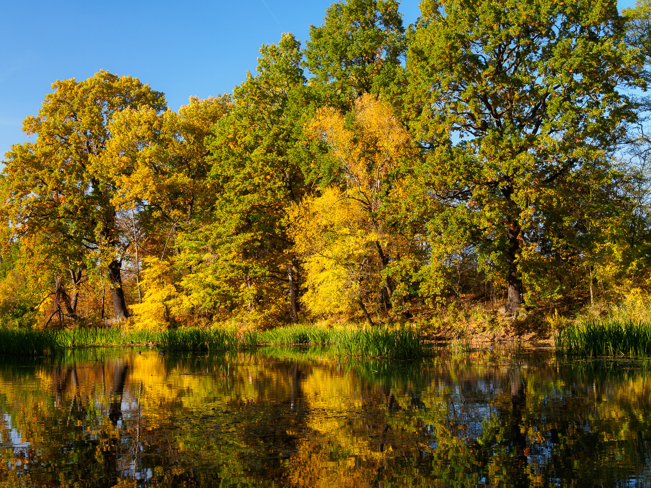 Kliknij obrazek, aby uzyskać większą wersję

Nazwa:	20151024-PA240127.jpg
Wyświetleń:	303
Rozmiar:	989,2 KB
ID:	161313