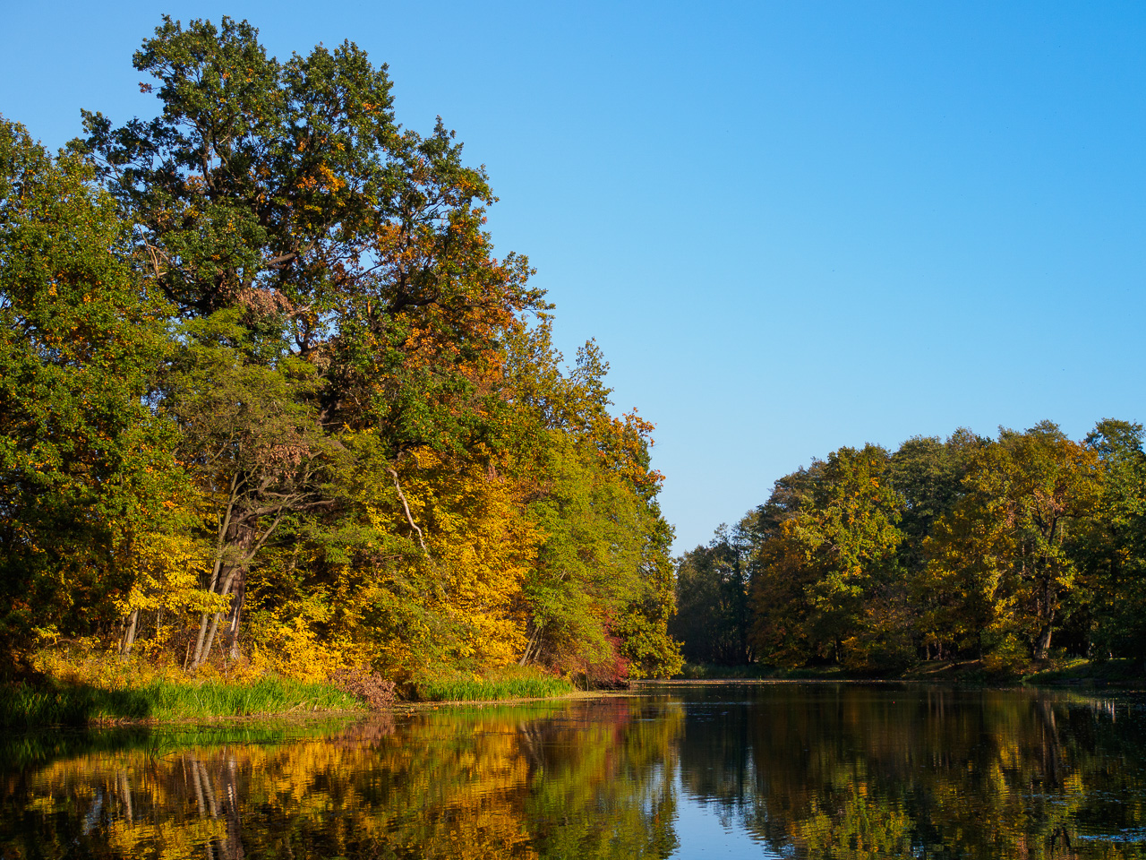 Kliknij obrazek, aby uzyskać większą wersję

Nazwa:	20151024-PA240128.jpg
Wyświetleń:	289
Rozmiar:	866,6 KB
ID:	161314