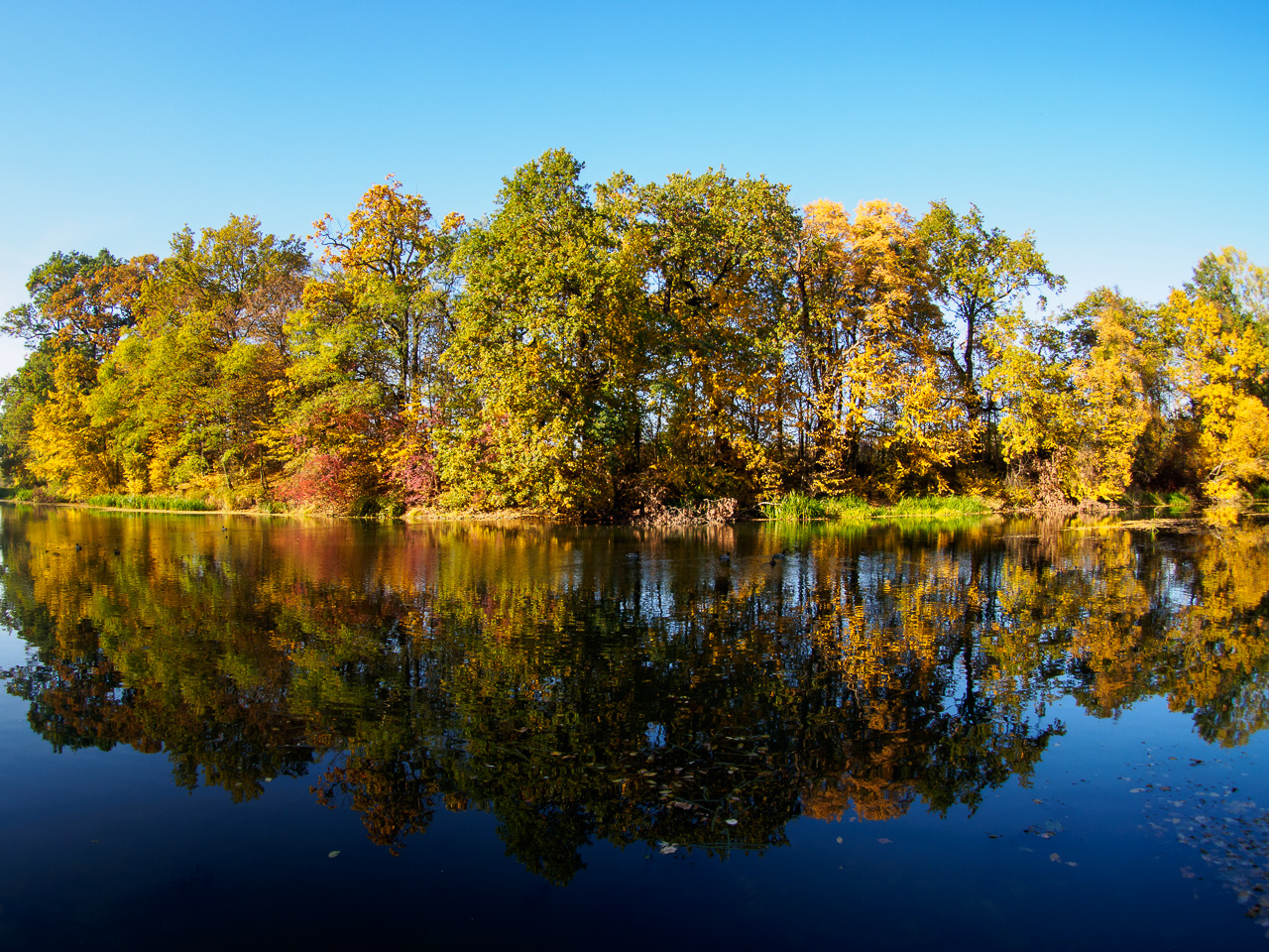 Kliknij obrazek, aby uzyskać większą wersję

Nazwa:	20151024-PA240140.jpg
Wyświetleń:	293
Rozmiar:	835,0 KB
ID:	161317