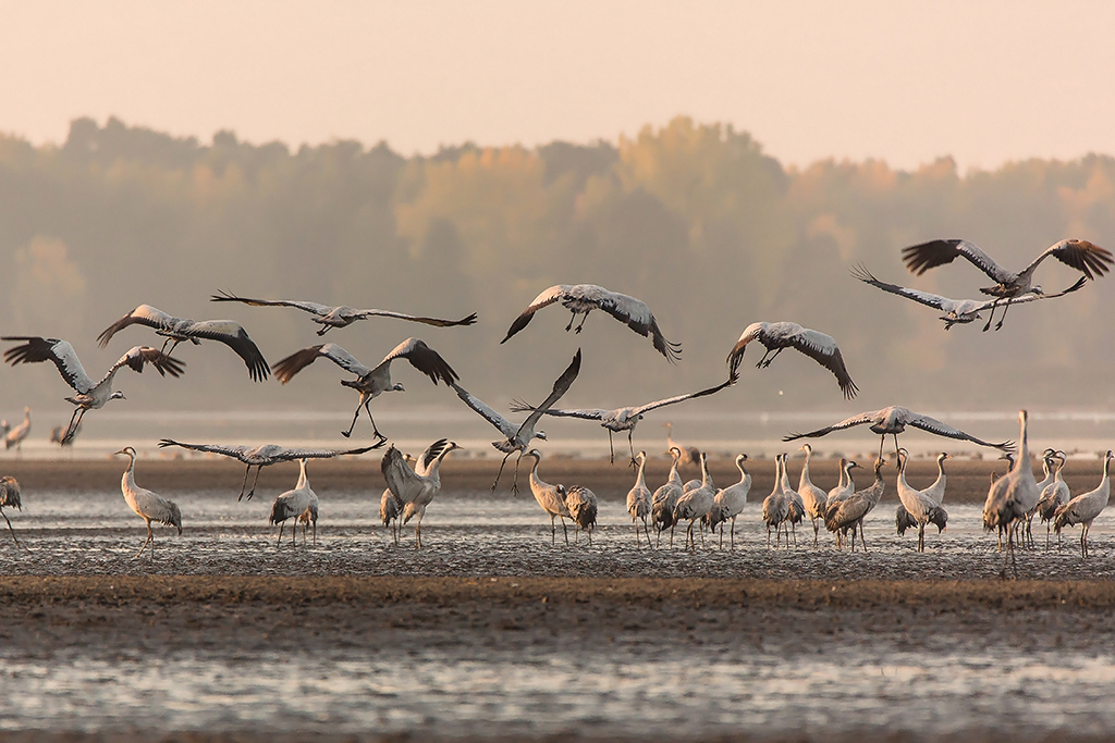 Kliknij obrazek, aby uzyskać większą wersję

Nazwa:	N72A3435.jpg
Wyświetleń:	745
Rozmiar:	475,3 KB
ID:	161583