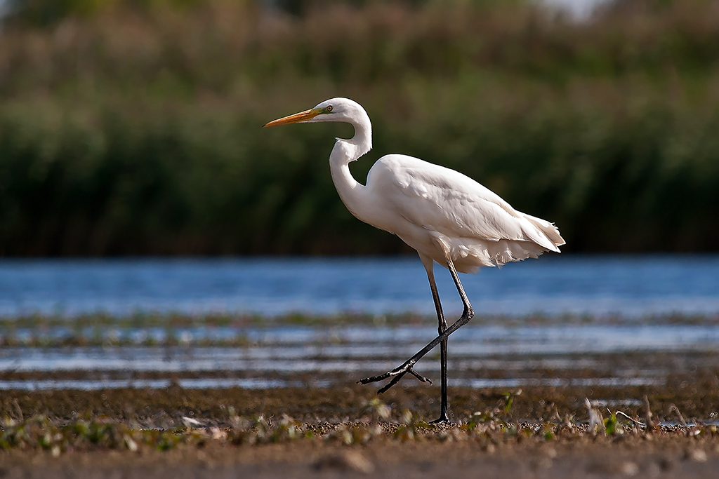 Kliknij obrazek, aby uzyskać większą wersję

Nazwa:	_9010721.jpg
Wyświetleń:	225
Rozmiar:	432,5 KB
ID:	161628