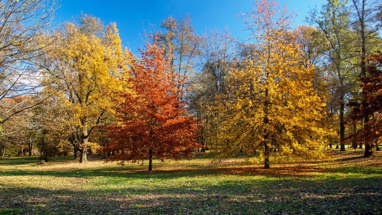 Kliknij obrazek, aby uzyskać większą wersję

Nazwa:	20151108-PB080316_m.jpg
Wyświetleń:	285
Rozmiar:	989,3 KB
ID:	161669