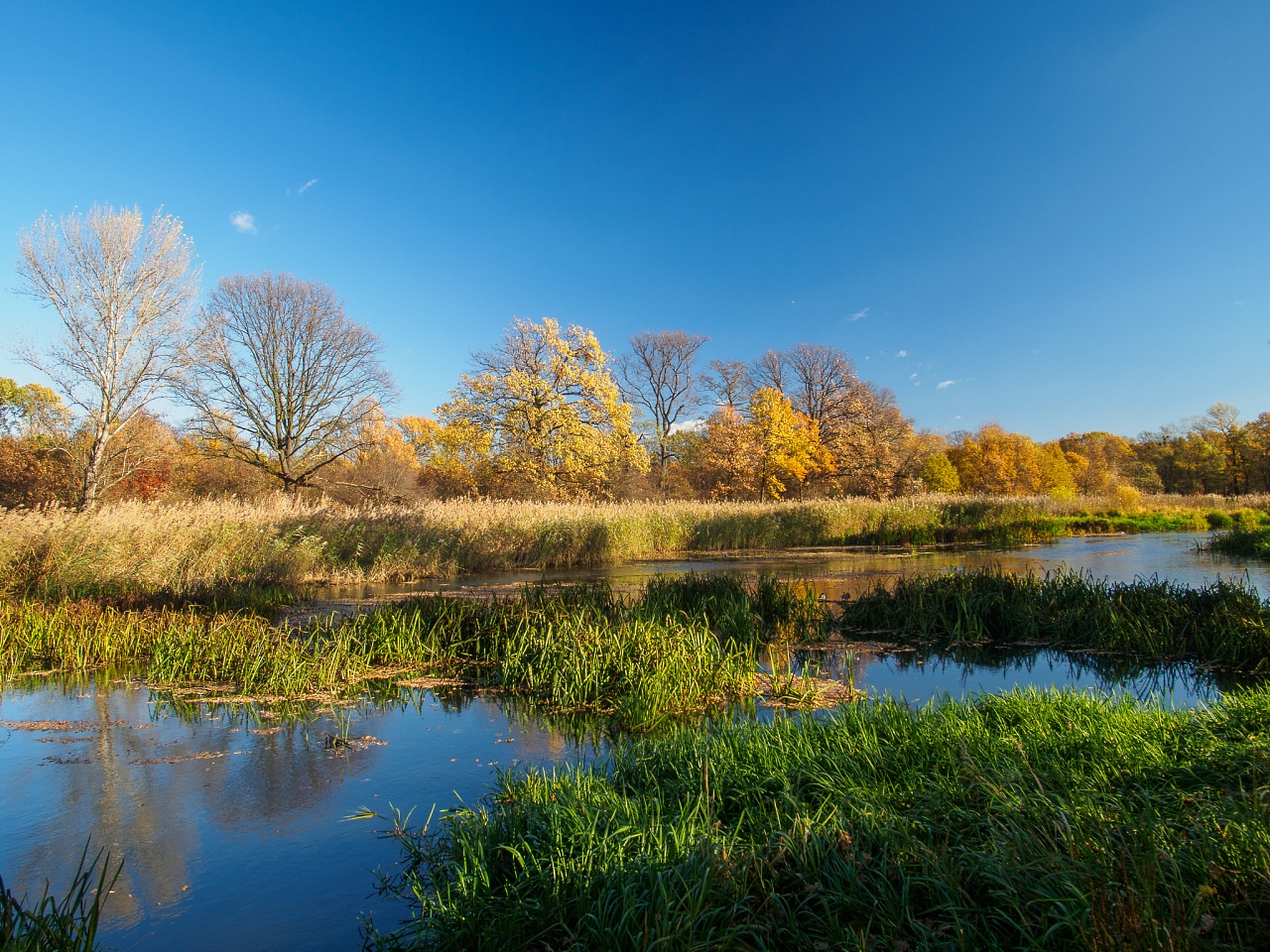 Kliknij obrazek, aby uzyskać większą wersję

Nazwa:	20151108-PB080324_m.jpg
Wyświetleń:	273
Rozmiar:	914,2 KB
ID:	161671