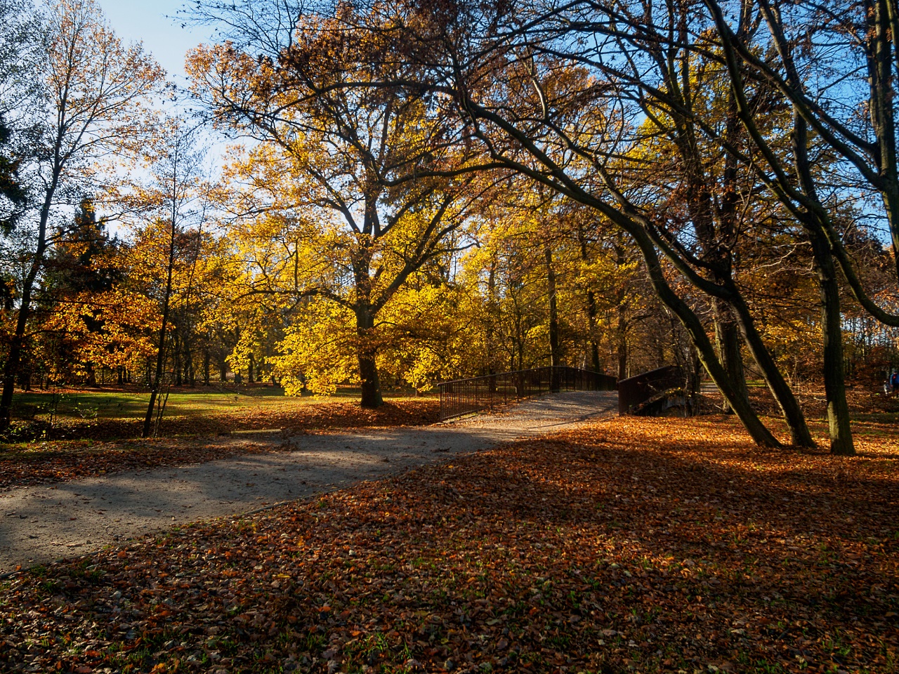 Kliknij obrazek, aby uzyskać większą wersję

Nazwa:	20151108-PB080334_m.jpg
Wyświetleń:	253
Rozmiar:	999,0 KB
ID:	161672