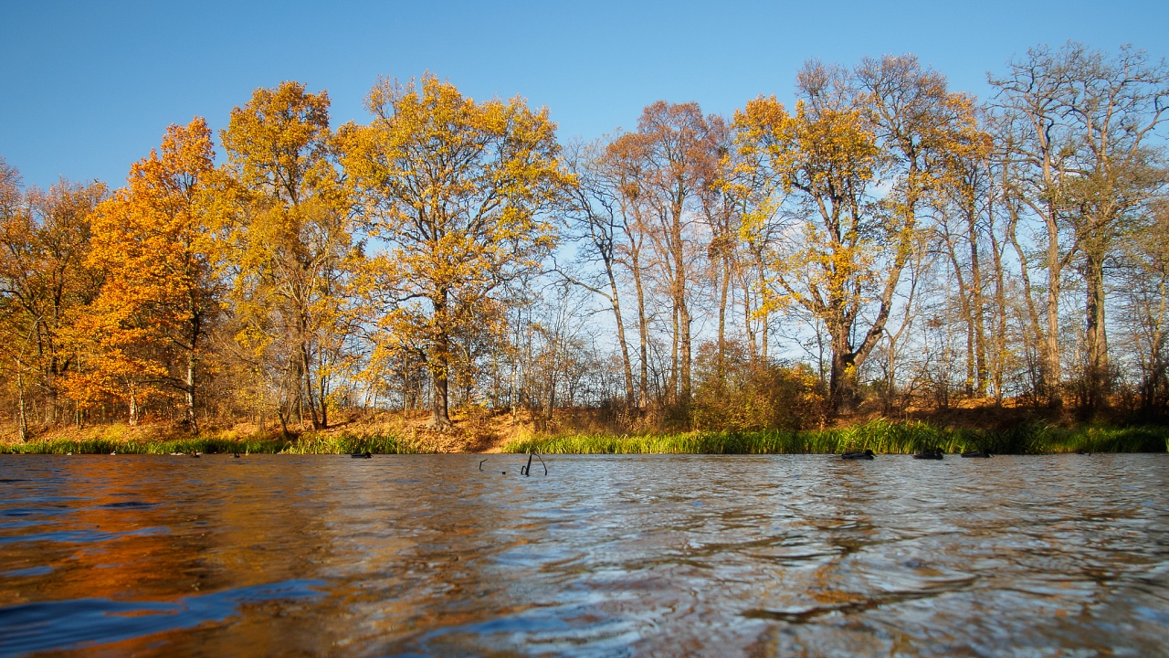 Kliknij obrazek, aby uzyskać większą wersję

Nazwa:	20151108-PB080349_m.jpg
Wyświetleń:	266
Rozmiar:	818,3 KB
ID:	161673