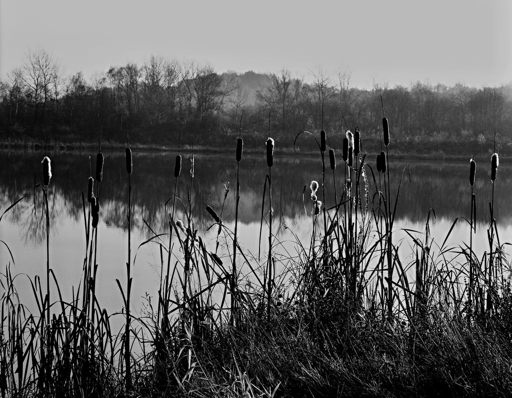 Kliknij obrazek, aby uzyskać większą wersję

Nazwa:	8_woda.jpg
Wyświetleń:	186
Rozmiar:	207,1 KB
ID:	161812