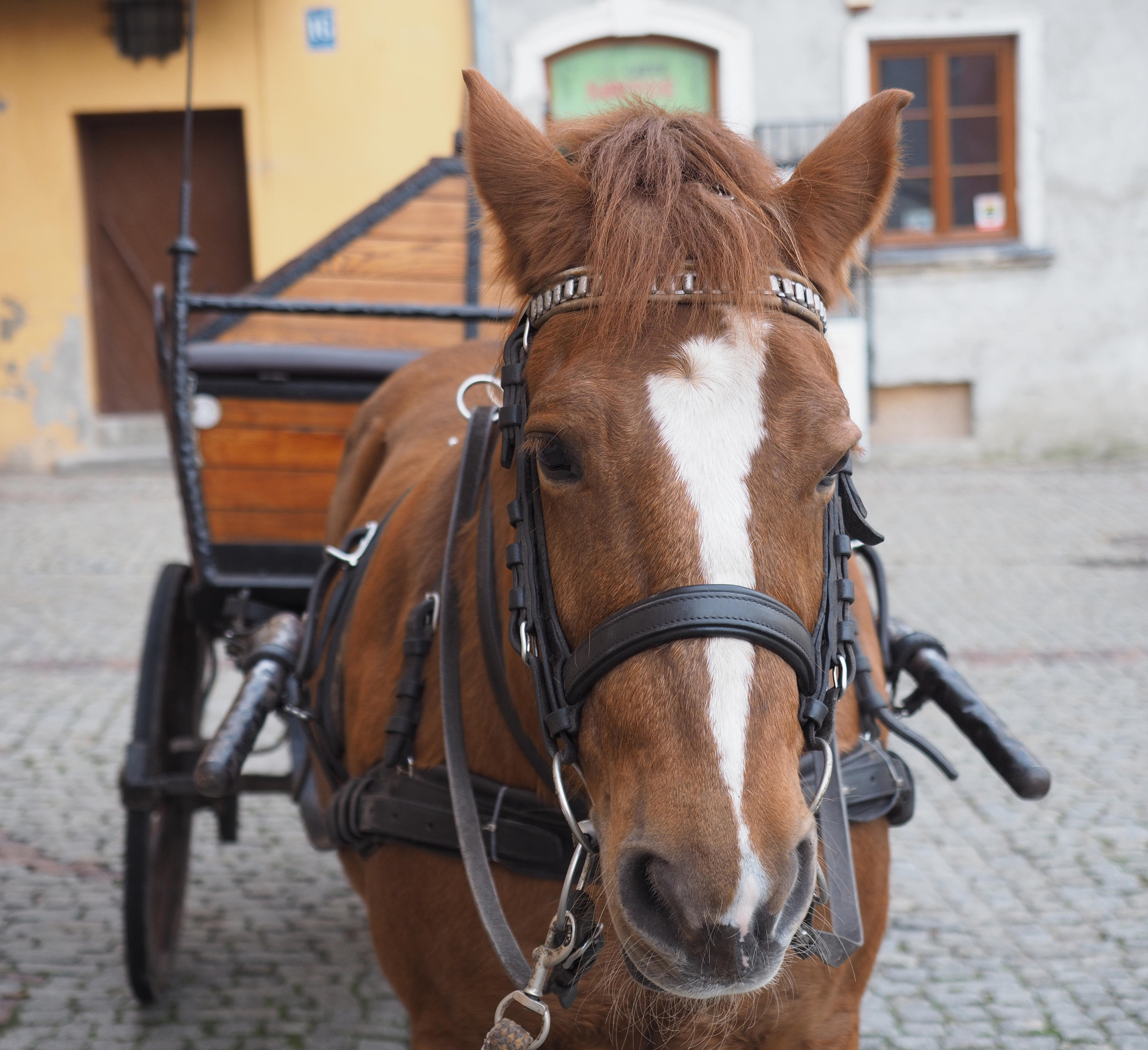 Kliknij obrazek, aby uzyskać większą wersję

Nazwa:	PB150325.jpg
Wyświetleń:	118
Rozmiar:	1,02 MB
ID:	161819