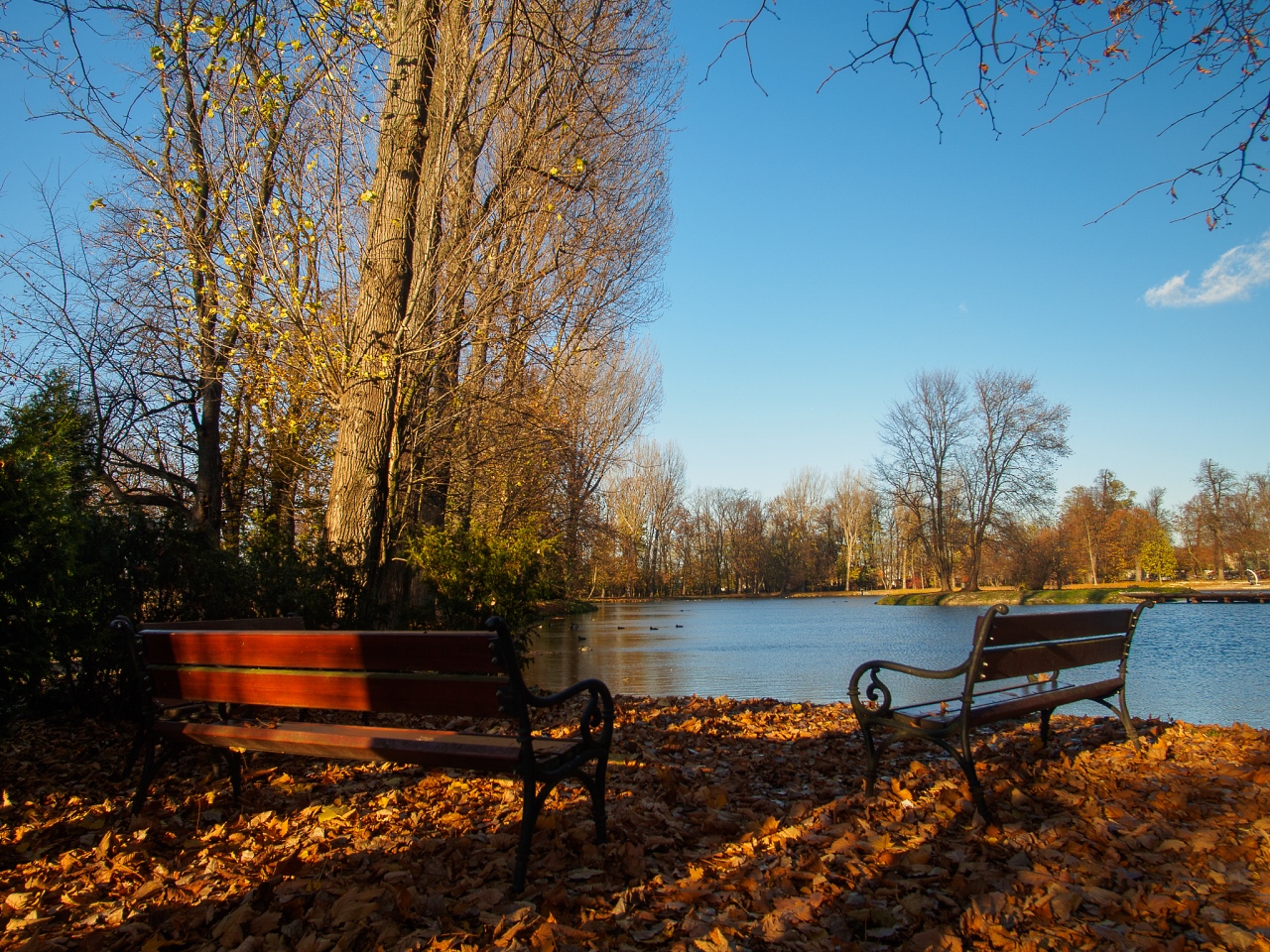 Kliknij obrazek, aby uzyskać większą wersję

Nazwa:	20151108-PB080384_m.jpg
Wyświetleń:	230
Rozmiar:	887,7 KB
ID:	161957