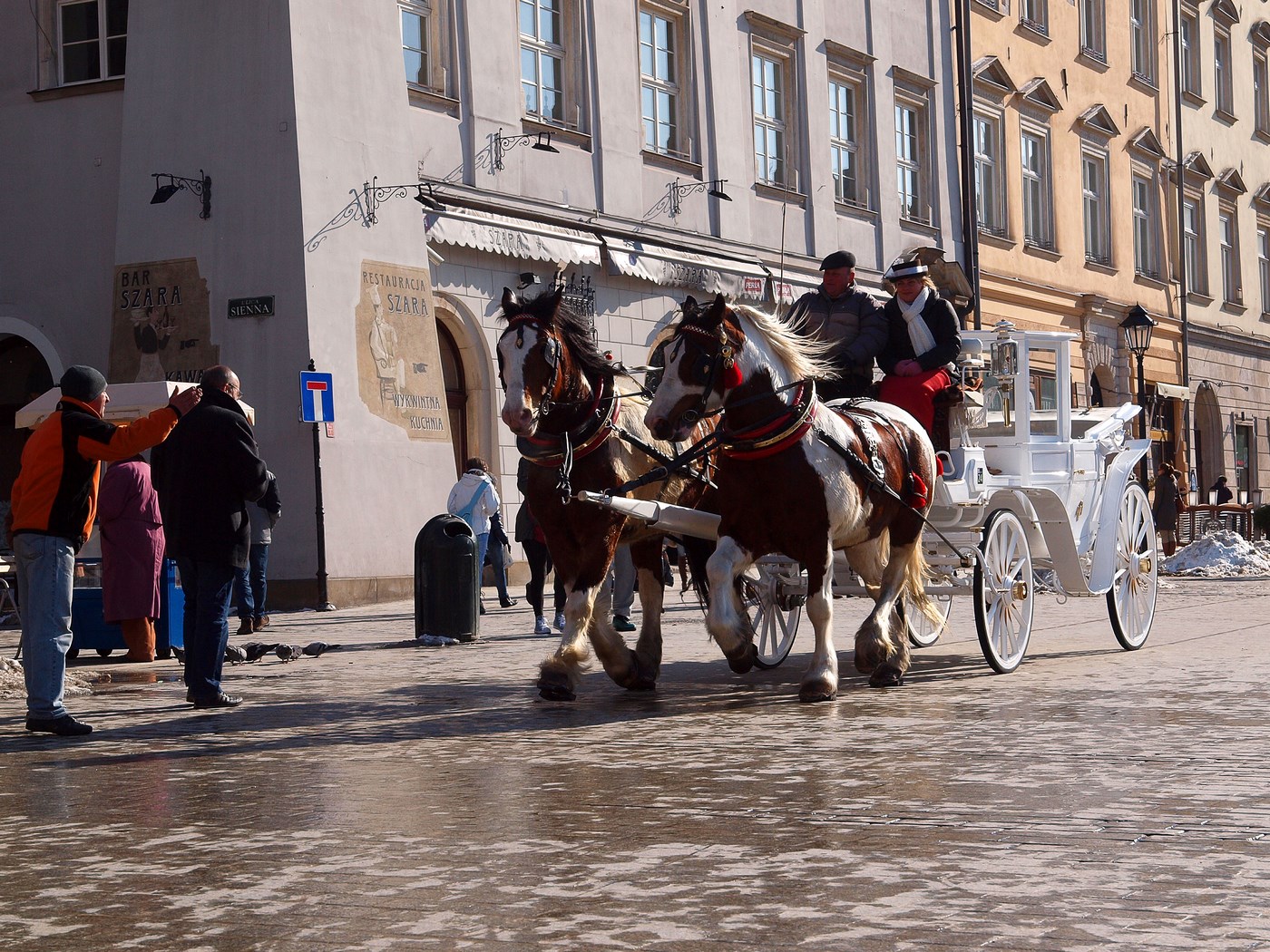 Kliknij obrazek, aby uzyskać większą wersję

Nazwa:	P3178517.JPG
Wyświetleń:	270
Rozmiar:	517,3 KB
ID:	162227