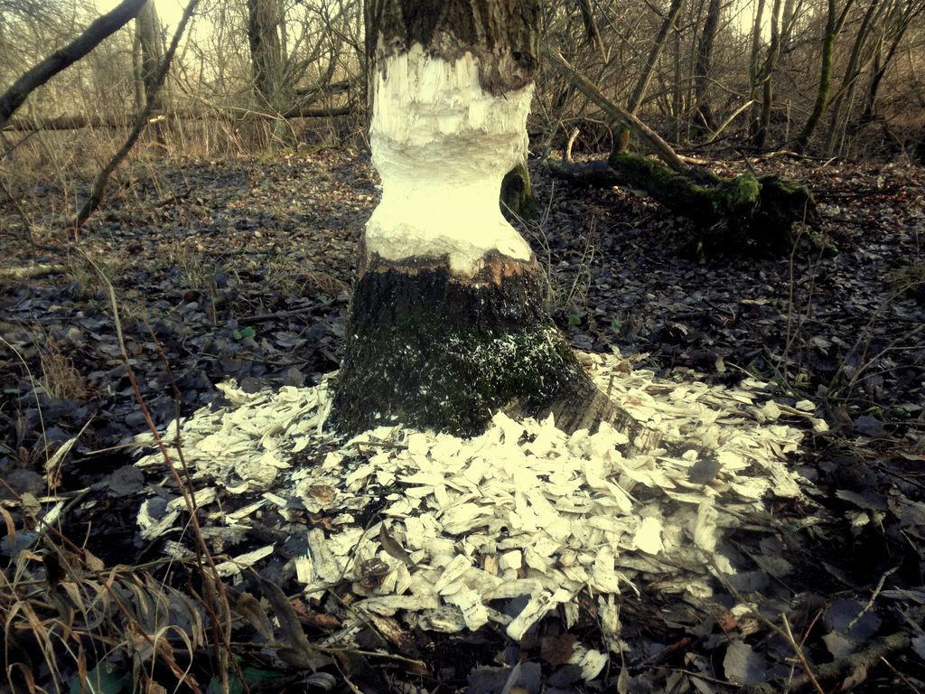 Kliknij obrazek, aby uzyskać większą wersję

Nazwa:	5.jpg
Wyświetleń:	144
Rozmiar:	247,6 KB
ID:	162248